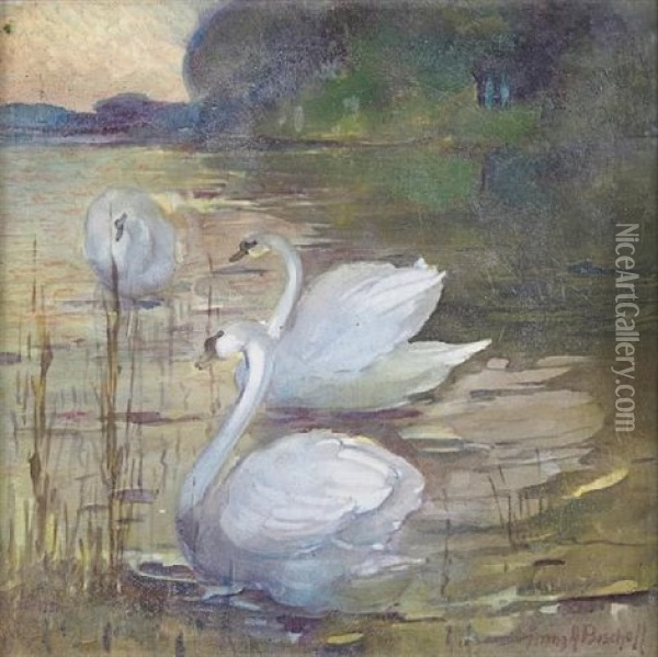 Three Swans By A Lake Oil Painting - Franz Arthur Bischoff