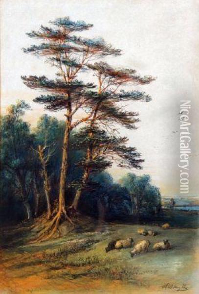 Sheep Grazing By A Woodland Oil Painting - Edward Robert Smythe