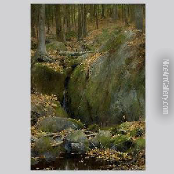 Stream In The Autumnwoods Oil Painting - Francis Coates Jones