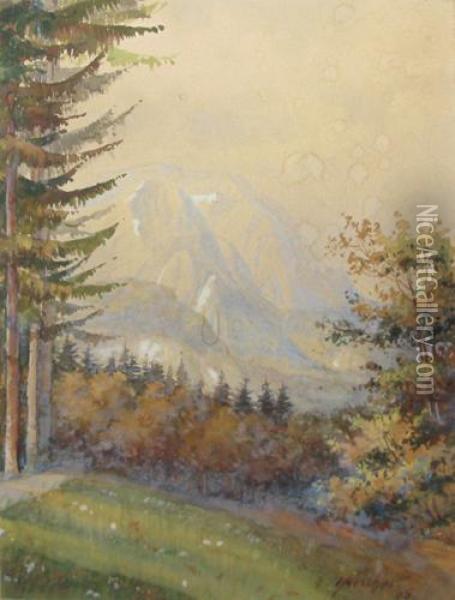 Peisaj Montan Oil Painting - Hans Aesher