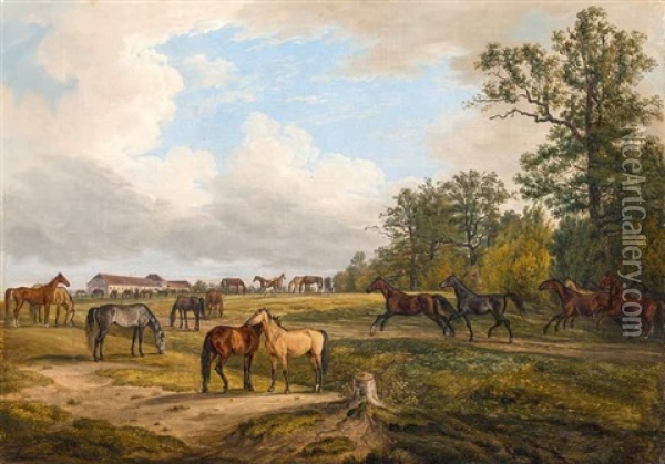 Pferde Auf Der Koppel, Im Hintergrund Ein Gestut Oil Painting - Albrecht Adam