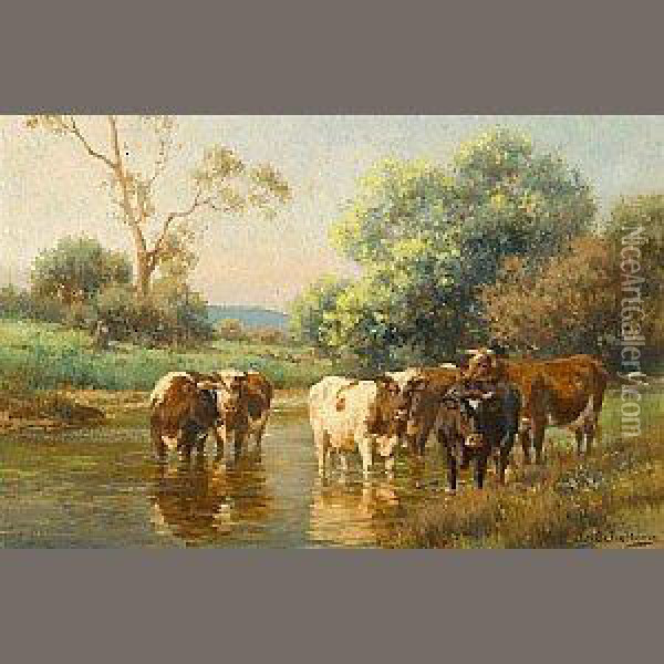 Cows Watering In A Stream Oil Painting - Jan Hendrik Scheltema