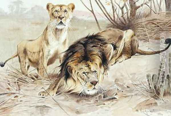 Lion Oil Painting - Wilhelm Kuhnert