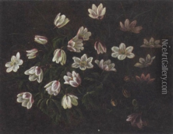 Opstilling Med Hvide Anemoner Oil Painting - Anthonie Eleonore (Anthonore) Christensen