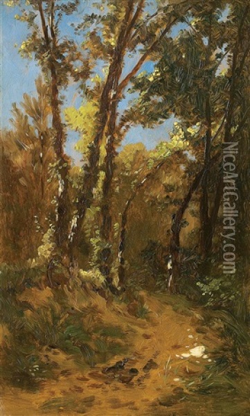 A Forest Path Oil Painting - Wladislaw Malecki