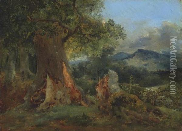 Vieux Chene Et Tronc Pourrisant Oil Painting - Theodore Rousseau