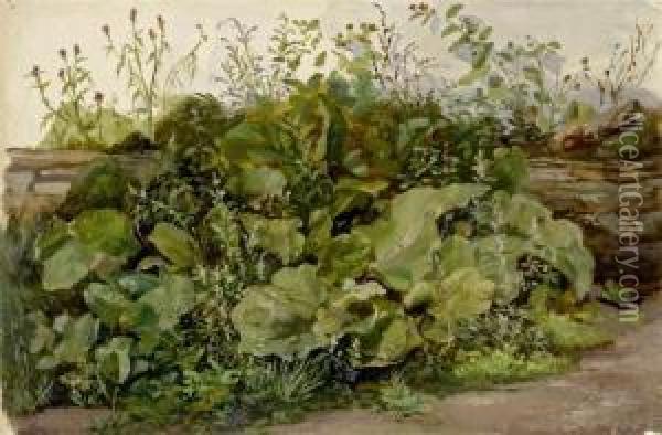 Study Of A Piece Of Turf Oil Painting - Louis, Ludwig Reinhardt