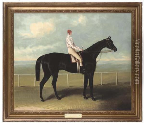 Voltigeur, With Job Mason Up Oil Painting - Samuel Spode