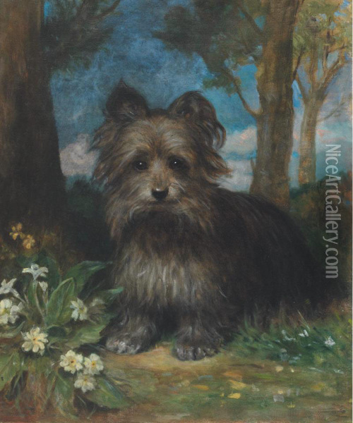 Roy The Terrier In A Wood Oil Painting - Eden Upton Eddis