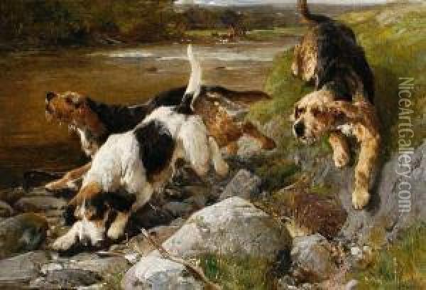 Otter Hounds Oil Painting - John Sargent Noble