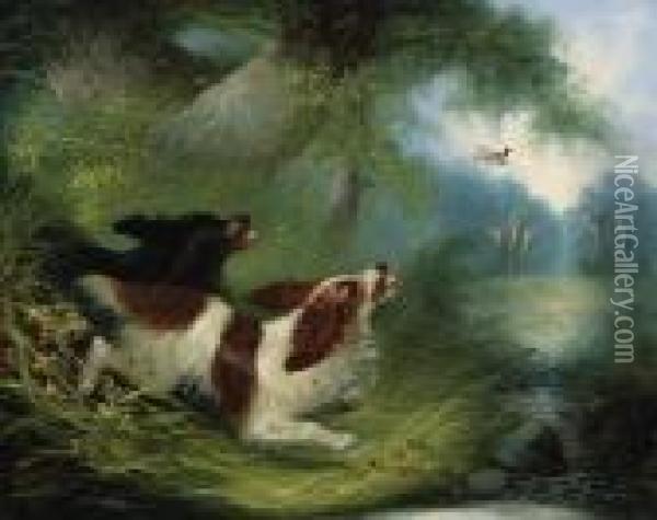 Spaniels Putting Up A Duck Oil Painting - George Armfield