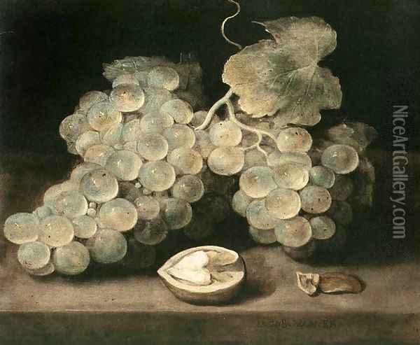Grape with Walnut Oil Painting - Jacob van Es