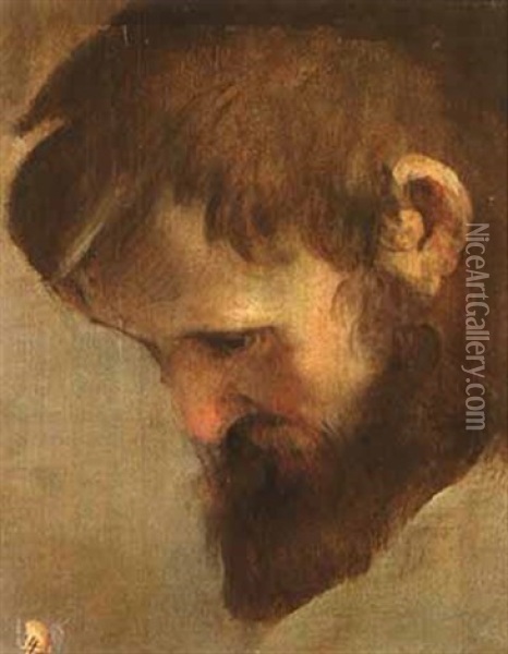 The Head Of A Bearded Man Looking Down Oil Painting - Federico Barocci
