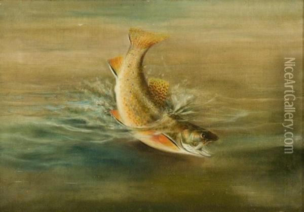 Brook Trout Oil Painting - Harry A. Driscole