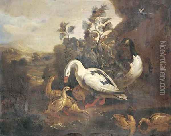 Ducks and a goose in a landscape Oil Painting - Pieter Casteels III
