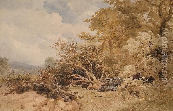 Titterden, Devon Oil Painting - John Henry Mole