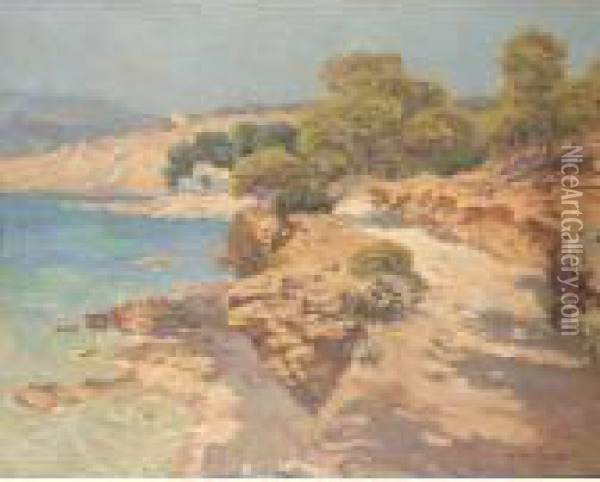 Cote De Provence Oil Painting - Carlo Brancaccio