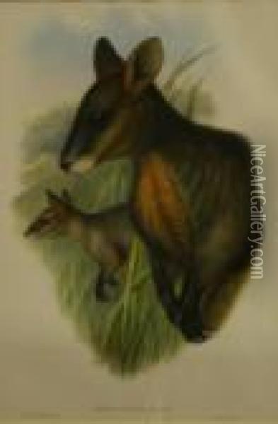 Untitled Oil Painting - John H. Gould