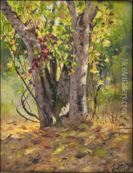 Autumn Forest Oil Painting - Anton Ivanovitch Kandauroff