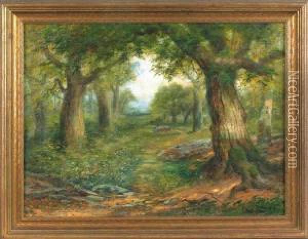 Wooded Landscape Oil Painting - Christopher H. Shearer