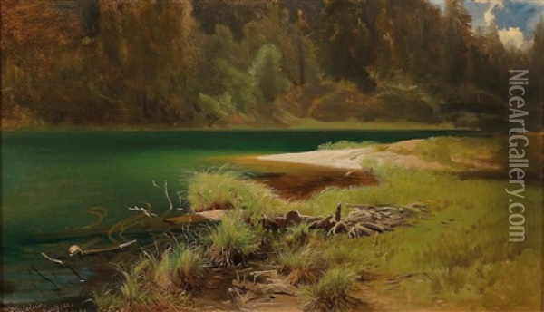 Lakeshore Scene On Lengsee Oil Painting - August Schaeffer