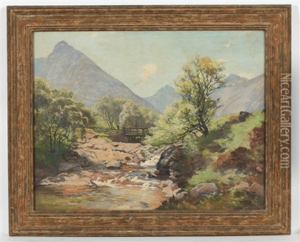A Highland Stream Oil Painting - Colin Gillespie Mitchell
