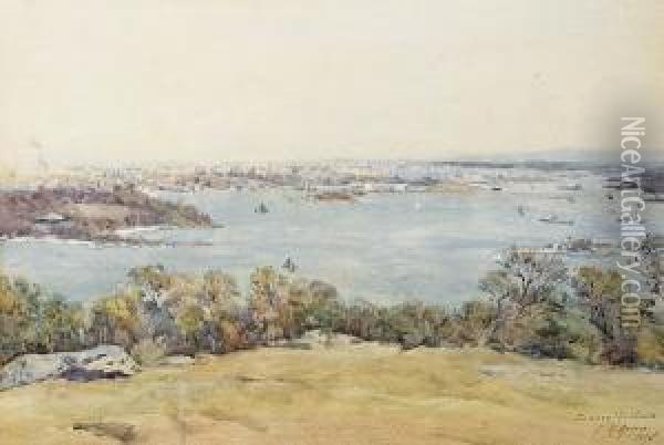Sydney Harbour Oil Painting - Julian Rossi Ashton