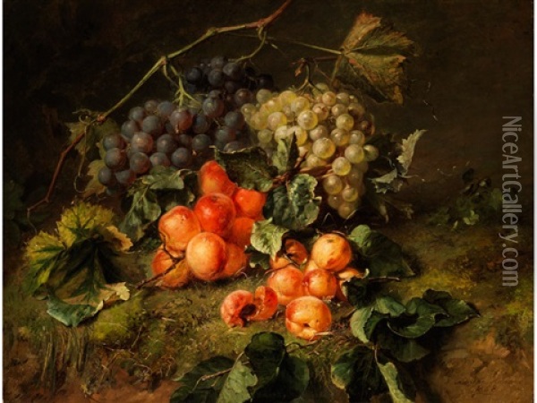 Fruchtestilleben Oil Painting - Adriana Johanna Haanen