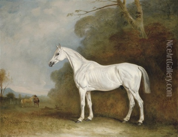 A Grey Hunter In A Wooded Landscape Oil Painting - John E. Ferneley