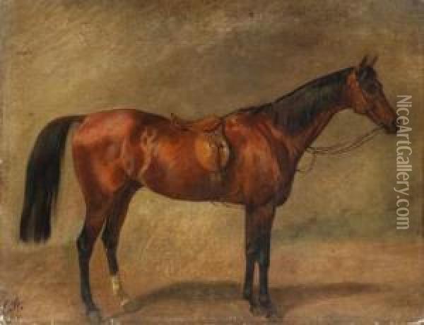 Picture Of A Horse Oil Painting - Carl Constantin Steffeck