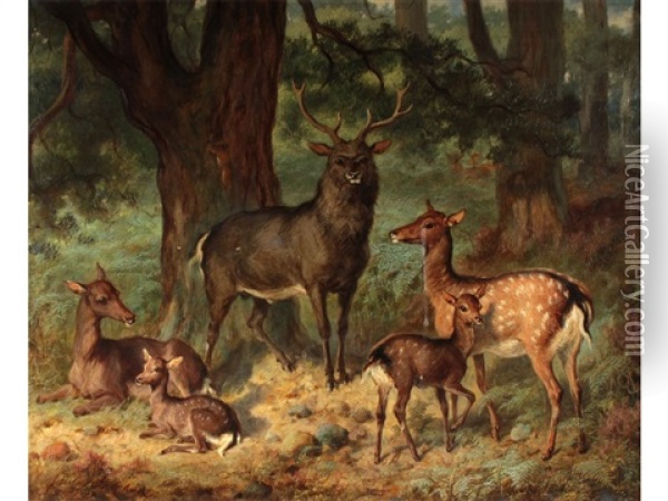 Fallow Deer In A Wood Oil Painting - Gourlay Steell