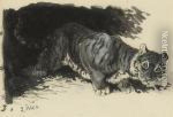 A Young Tiger Cub Surveying The Territory Oil Painting - Louis William Wain