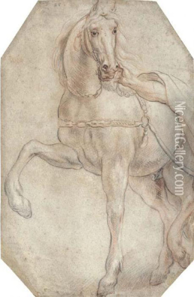 A Harnessed Horse Looking To The Right Oil Painting - Jacob Jordaens