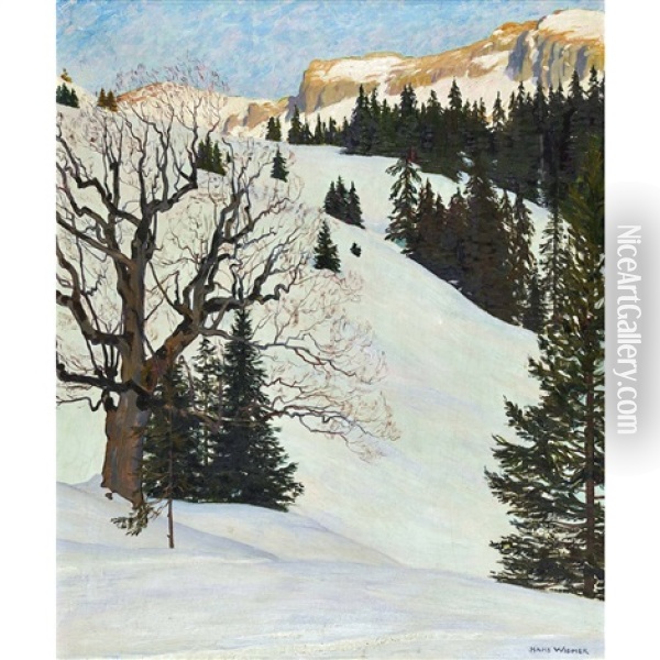 Winterliche Berglandschaft Oil Painting - Hans Widmer