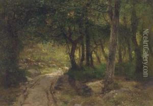 A Track Running Through A Sunlit Glade Oil Painting - Francisco Masriera y Manovens