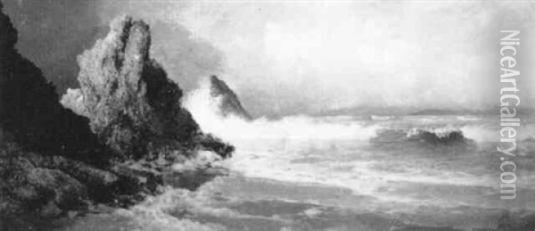 Waves Crashing Against The Rocks In Fog Oil Painting - Charles Dorman Robinson