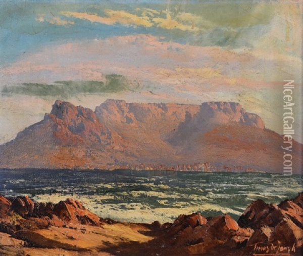 View Of Table Mountain, Cape Town Oil Painting - Tinus de Jongh