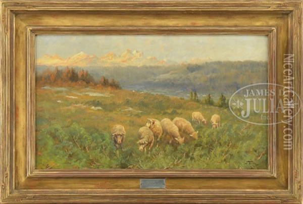 Sheep In Central Oregon Oil Painting - John Fery