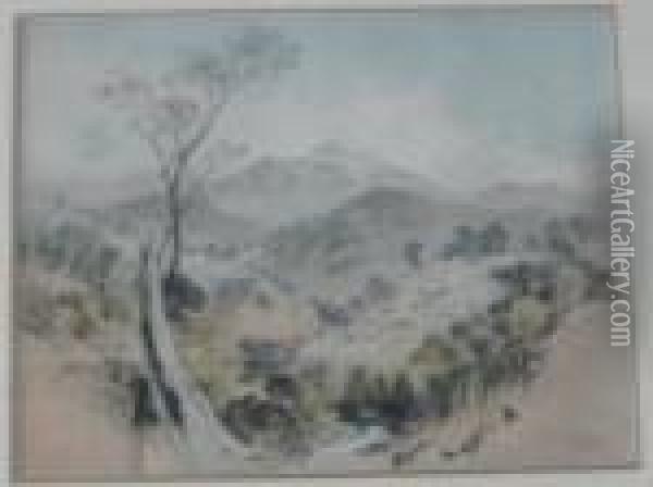 Ophir Summer Hill Creek Oil Painting - George French Angas