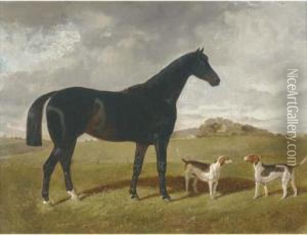 A Dark Brown Hunter With Two Hounds In A Landscape, With Brindlechurch, Lancashire, Beyond Oil Painting - Henry Woollett