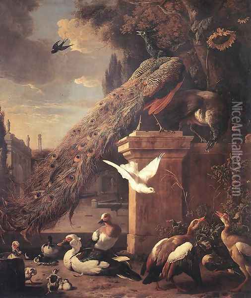 Peacocks and Ducks c. 1680 Oil Painting - Melchior de Hondecoeter