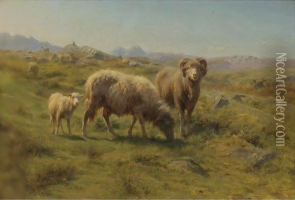 A Sheep, Ram And Lamb With The Flock Oil Painting - Rosa Bonheur