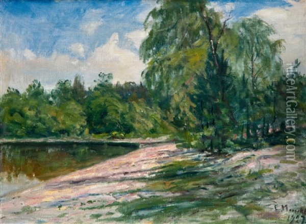 View From The Shore Oil Painting - Elias Muukka