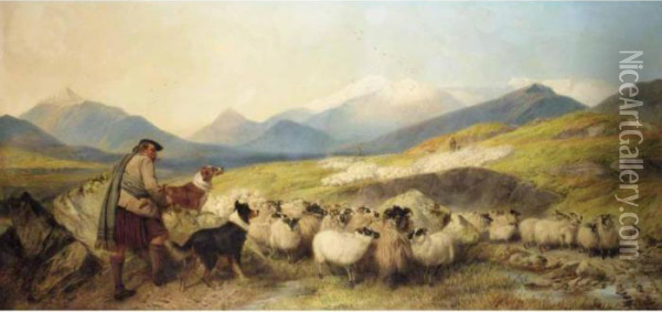 Sheep Gathering In Glen Spean Oil Painting - Richard Ansdell