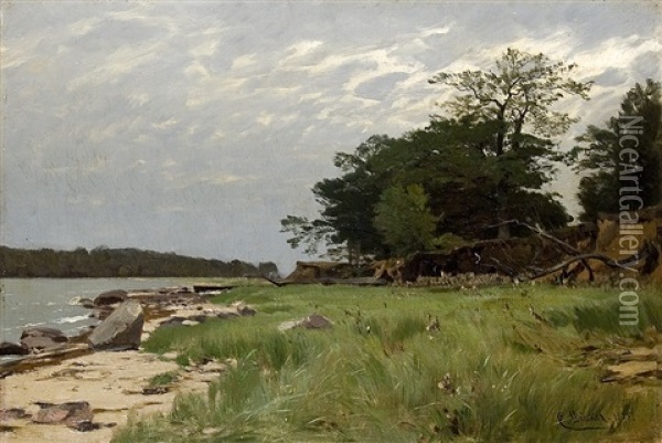 An Der Ostseekuste Oil Painting - Eugen Gustav Duecker
