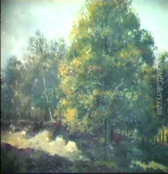 Waldlandschaft Oil Painting - Willem Roelofs