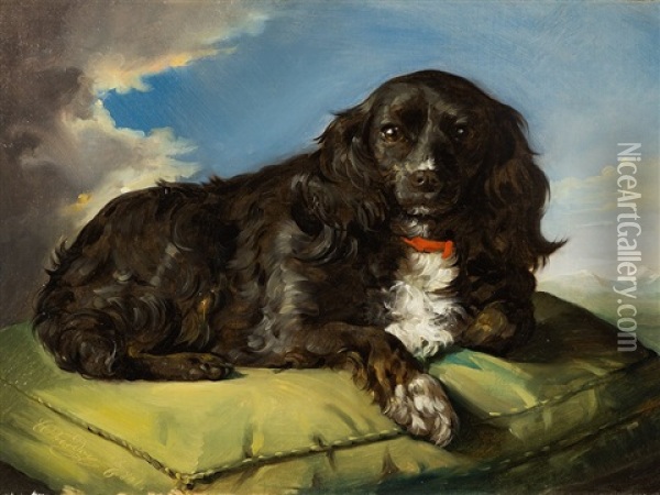 Spaniel On Green Cushion Oil Painting - Theodor Petter