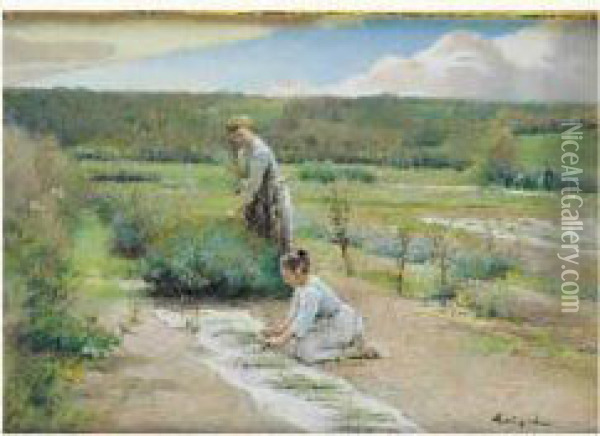 La Cueillette De La Lavande Oil Painting - Albert Lynch