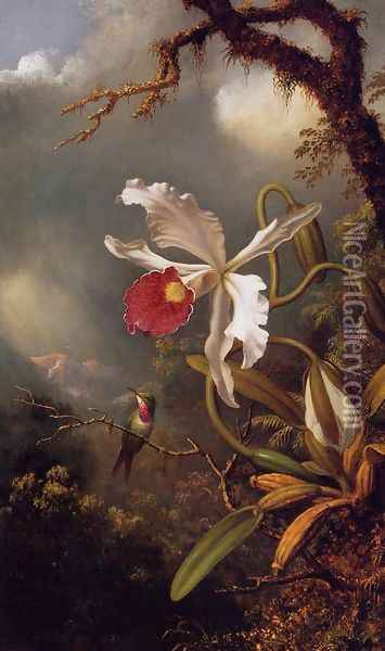 An Amethyst Hummingbird With A White Orchid Oil Painting - Martin Johnson Heade