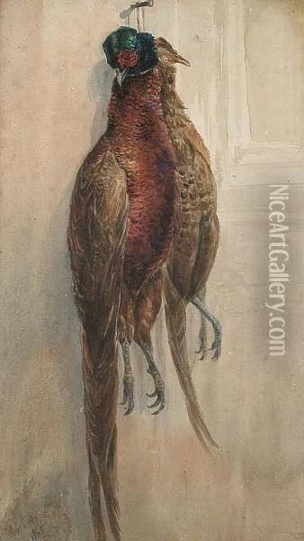 A Brace Of Pheasant Oil Painting - James Jnr Hardy